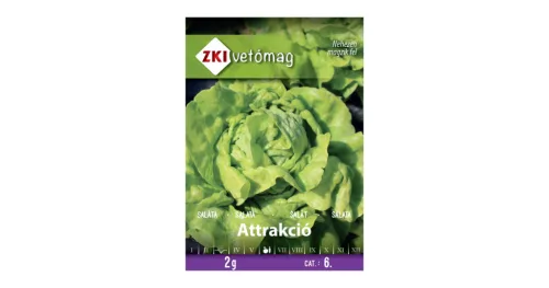Saláta Attrakció ZKI