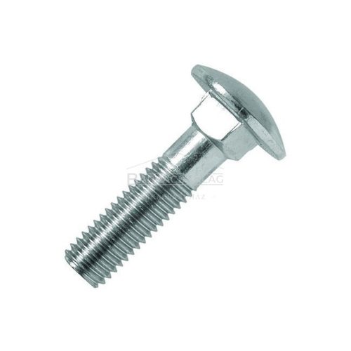 Kapupánt csavar, 8 x 30 mm