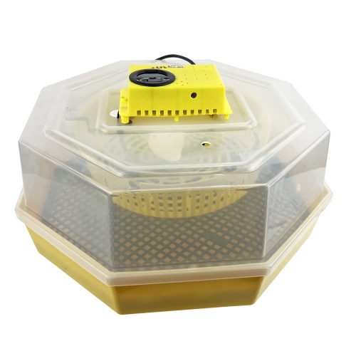 Keltetőgép hőmérséklet kijelzővel és páramérővel C5-HP