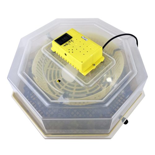 Keltetőgép forgatóráccsal és hőmérséklet kijelzővel C5-FH