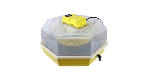 Keltetőgép forgatóráccsal és hőmérséklet kijelzővel C5-FH