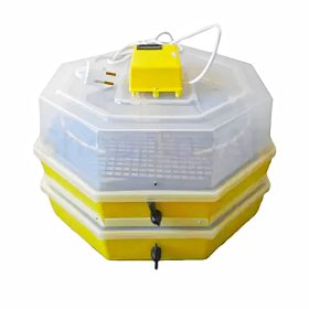   Keltetőgép (emeletes) hőmérséklet- és párakijelzővel, kézi forgatóművel, C5-2x5-FHP