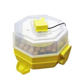   Keltetőgép (emeletes) hőmérséklet- és párakijelzővel, automata forgatóművel, C5-2x5-FHP-A