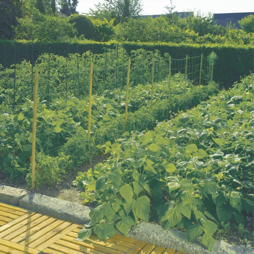 Növénytartó háló 1,7 x 50 m Trellinet