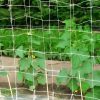 Növénytartó háló Trellinet 1,7 x 20 m 150 x 170 cm zöld