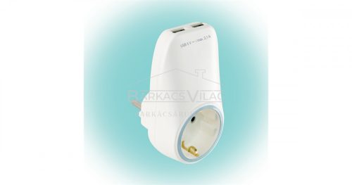 Töltő, hálózati, USB