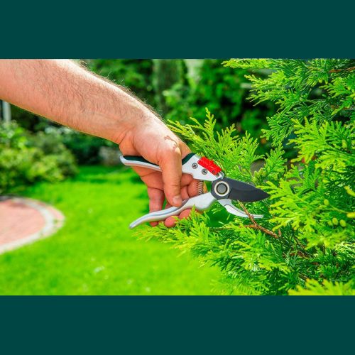 Metszőolló Verto 195mm