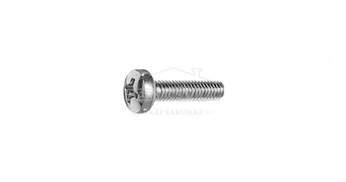 Csavar, D-fejű, 3 x 10 mm