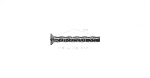 Csavar, süllyesztett fejű, M 3 x 40 mm