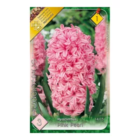 Jácint rózsaszín Hyacinthus Pink Pearl 3 db virághagyma