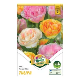 Tulipán teltvirágú TRIO ANGEL MIX 6 db virághagyma