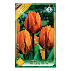 Tulipán Princess Irene 5 db virághagyma