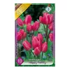 Csokros tulipán Tulipa Happy Family 8 db virághagyma