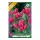 Csokros tulipán Tulipa Happy Family 8 db virághagyma