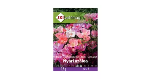 Nyári azálea ZKI