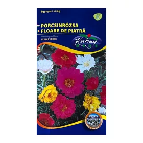 Porcsinrózsa