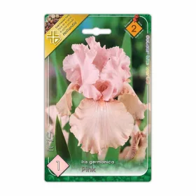 Írisz germanica Pink virághagyma