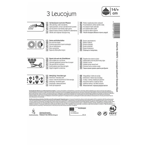 Tőzike Leucojum aestivum virághagyma