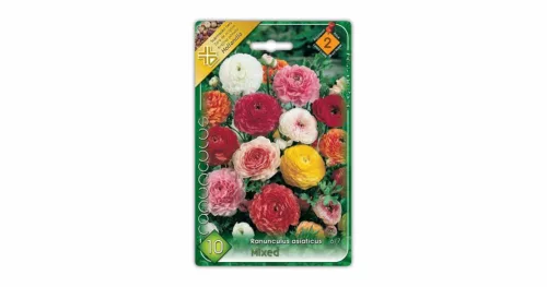 Ázsiai boglárka Ranunculus asiaticus Mixed virághagyma