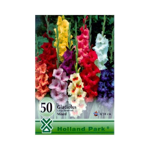 Kardvirág/Gladiolus Mixed Mix/Vegyes kardvirág virághagyma