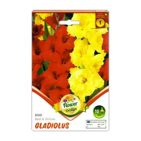   Kardvirág/Gladiolus Duo Red + Yellow/ Piros és sárga kardvirág virághagyma