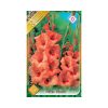 Kardvirág/Gladiolus Peter Pears/Narancssárga kardvirág virághagyma
