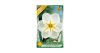 Nárcisz Lemon Beauty 5 db Narcissus Lemon Beauty