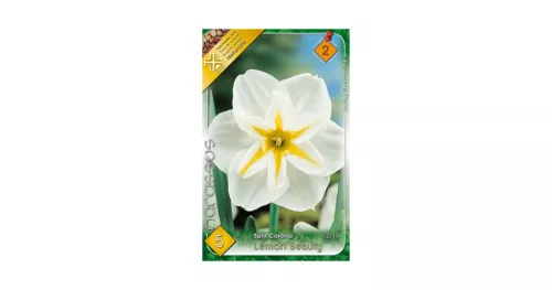 Nárcisz Lemon Beauty 5 db Narcissus Lemon Beauty