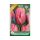 Tulipa Triumph Pretty Princess 6 db Tulipa Pretty Princess