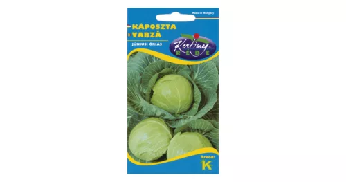Fejeskáposzta Júniusi óriás