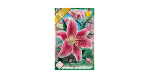 Liliom/Lilium Oriental hybrid Stargaze/Liliom virághagyma