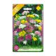 Díszhagyma Allium Mixed virághagyma