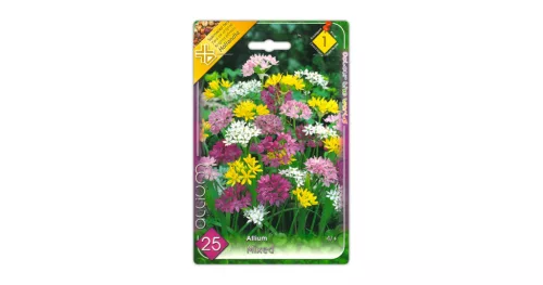 Díszhagyma Allium Mixed virághagyma