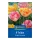 Tulipán Bright Harmony virághagyma