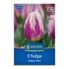 Tulipán Happy Feet virághagyma