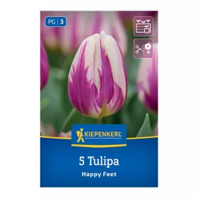 Tulipán Happy Feet virághagyma