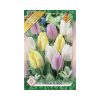 Egyszerű virágú korai tulipán 9 db Tulipa Prince mix trio