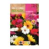 Gerbera színkeverék Napsugár hibrid ROCALBA
