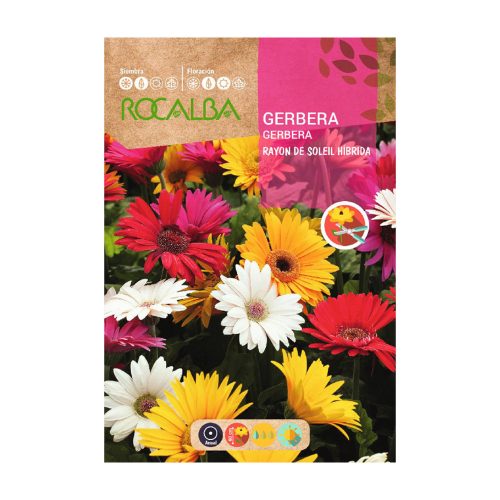 Gerbera színkeverék Napsugár hibrid ROCALBA