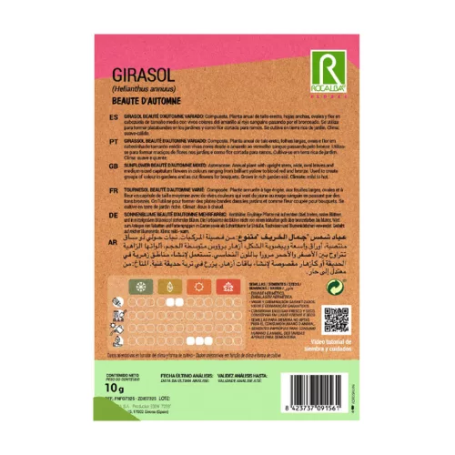 Napraforgó Beaute DAutomne ROCALBA