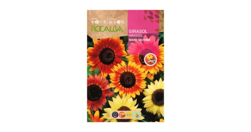 Napraforgó Beaute DAutomne ROCALBA