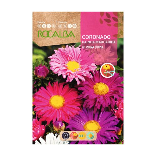 Őszirózsa margaréta színkeverék - De China Simple ROCALBA