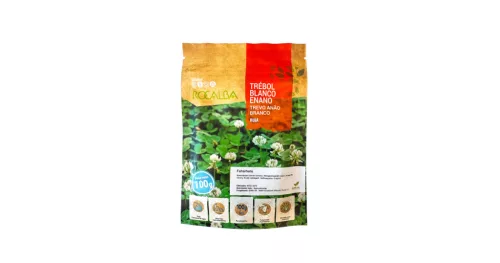 Fehérhere mag ROCALBA