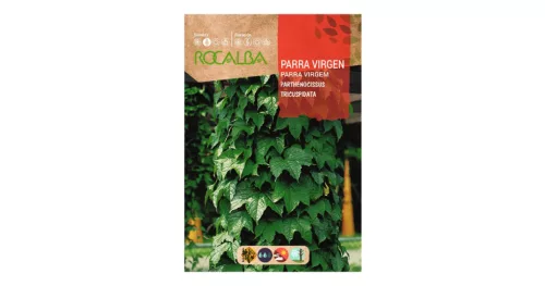 Vadszőlő mag ROCALBA