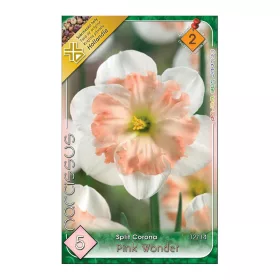 Nárcisz Pink Wonder 5 db Narcissus Split Corona Pink Wonder