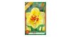 Nárcisz Tahiti 5 db Narcissus Tahiti