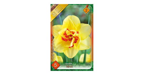Nárcisz Tahiti 5 db Narcissus Tahiti