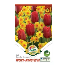   Tulipán-Nárcisz duo 6 db Tulipa-Narcissus Cheerful Company duo