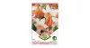 Tulipán Nárcisz duo 6 db Tulipa-Narcissus Orange Dreams duo