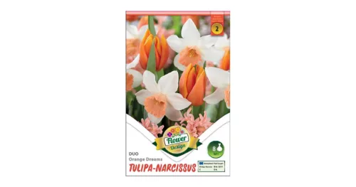 Tulipán Nárcisz duo 6 db Tulipa-Narcissus Orange Dreams duo